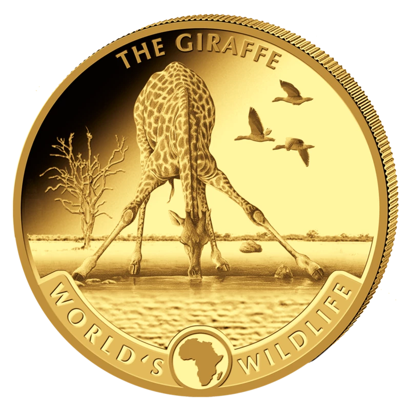 Gouden munt van de Republiek Congo in de set 
