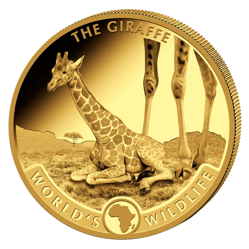Gouden munt van de Republiek Congo in de set 