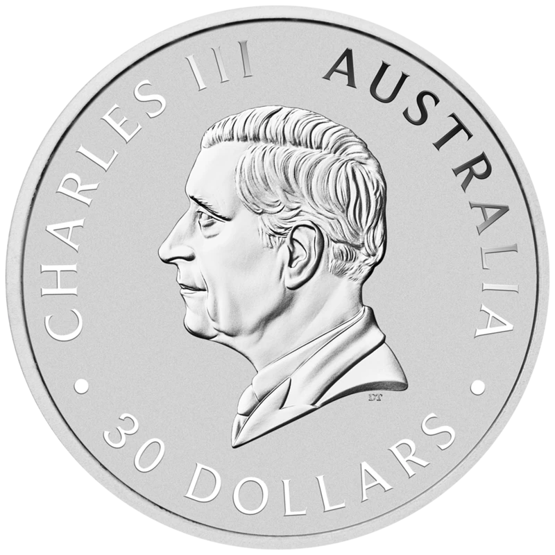 Australische zilveren munt 