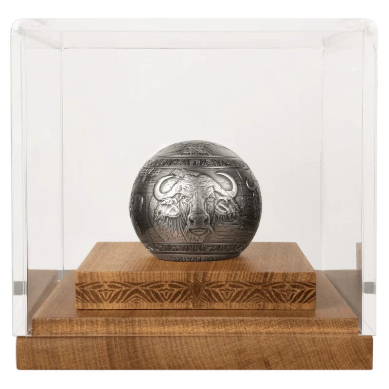 Djibouti Pièce Argent Buffalo 2024 1 Kg Pièces de collection