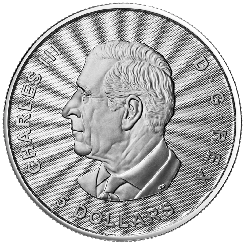 Canada: zilveren munt The Majestic Polar Bear 2025 1 ounce Verzamelmunten