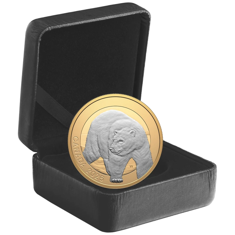 Canada : pièce en argent Ours polaire 2025 Belle Épreuve dorée 1 once Pièces de collection