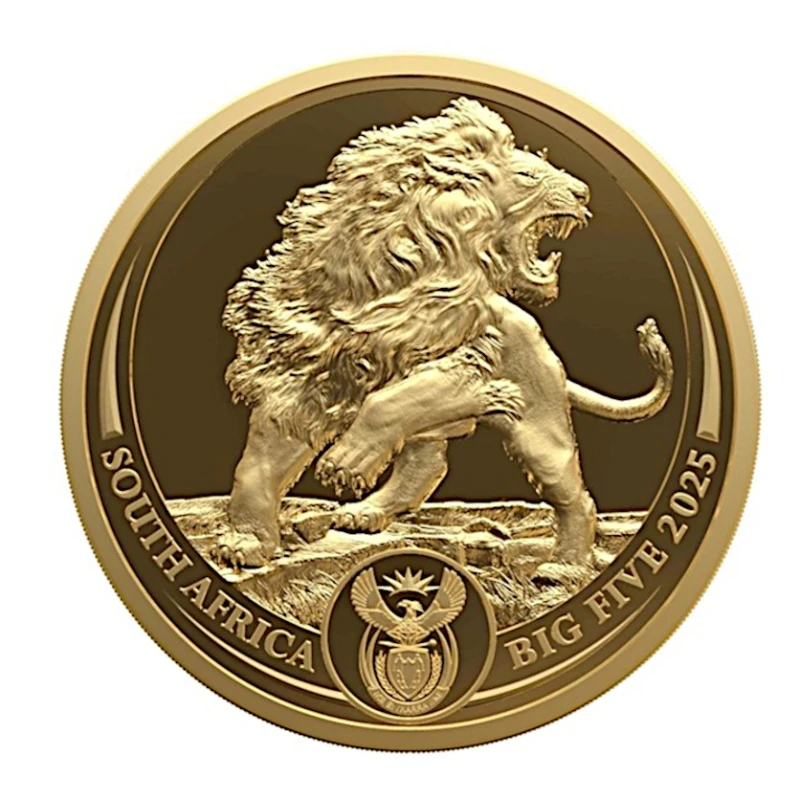 Afrique du Sud : pièce d'or Lion 2025 Belle Épreuve 1/4 oz Pièces de collection