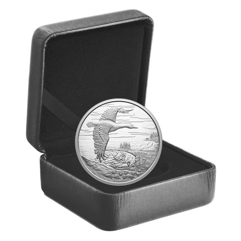 Canada: silver coin Connected Nature 2025 Proof 31,39 g Collectible coins