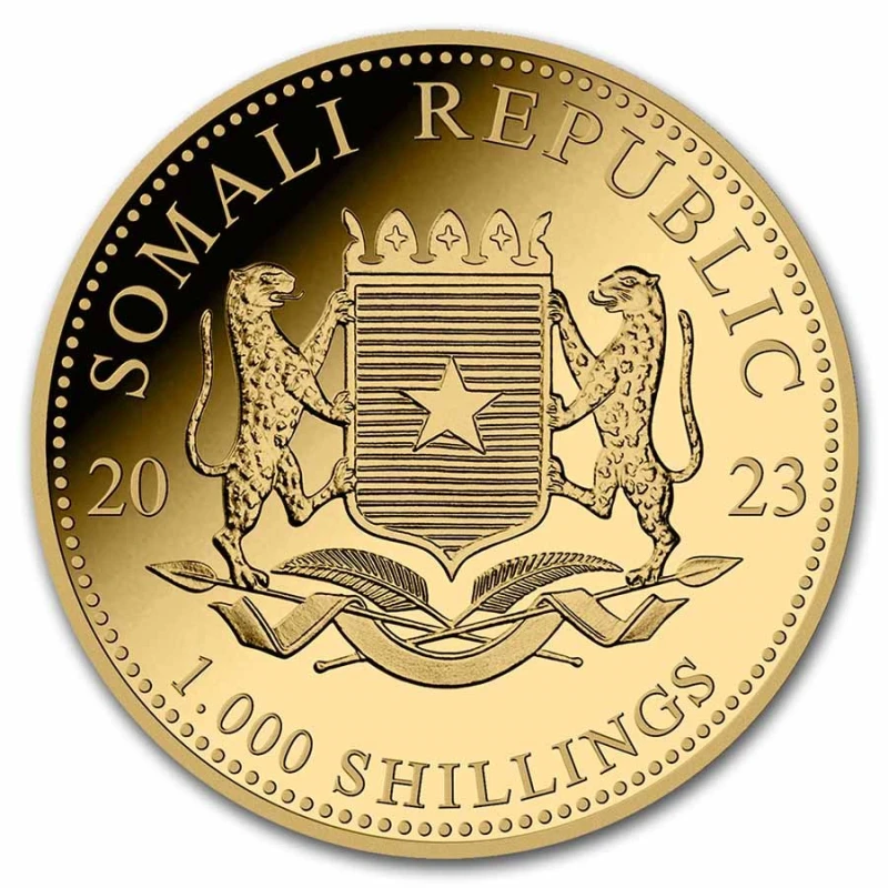 Somalië: gouden munt Olifant 2023 1 ounce Verzamelmunten