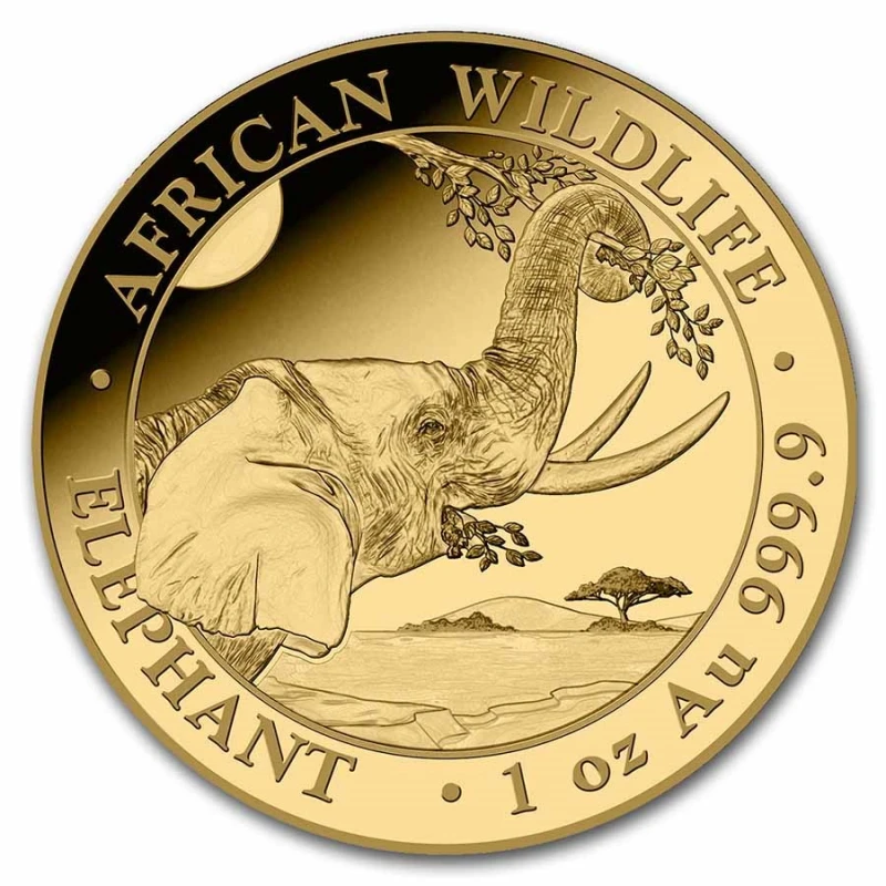 Somalië: gouden munt Olifant 2023 1 ounce Verzamelmunten
