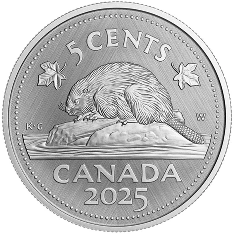 Canada: zilveren munt Bever 2025 1 ounce Verzamelmunten