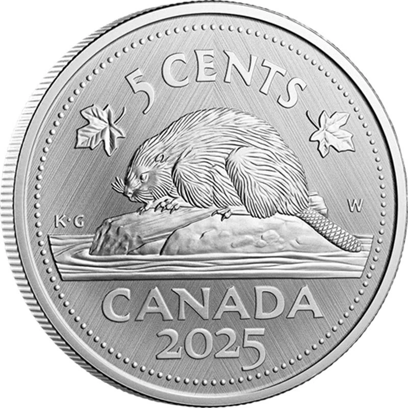 Canada: zilveren munt Bever 2025 1 ounce Verzamelmunten