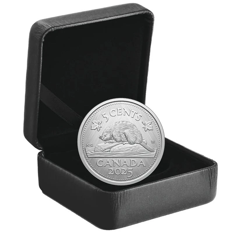 Canada: zilveren munt Bever 2025 1 ounce Verzamelmunten