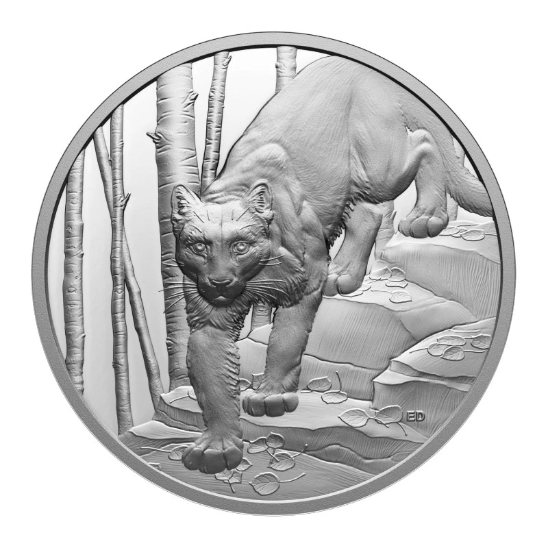 Canada: silver coin Cougar 2024 Proof 1 oz Collectible coins