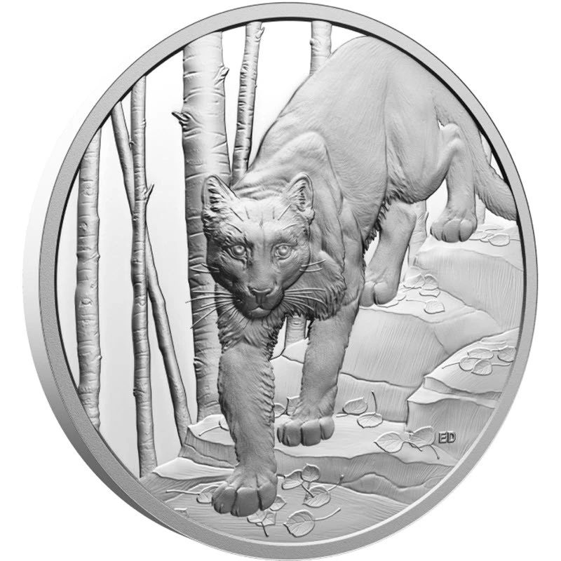 Canada: silver coin Cougar 2024 Proof 1 oz Collectible coins