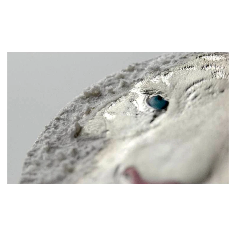 Niue: zilveren munt Witte tijger 2022 3 ounce Verzamelmunten