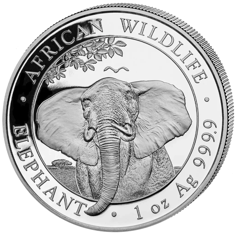 Somalië zilveren investeringmunt Afrikaanse wilde dieren olifant 2021 1 ounce Investeringsmunten