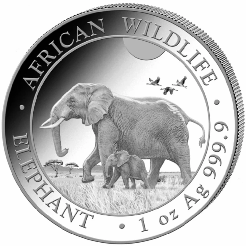 Somalië zilveren investeringmunt Afrikaanse wilde dieren olifant 2022 1 ounce Investeringsmunten