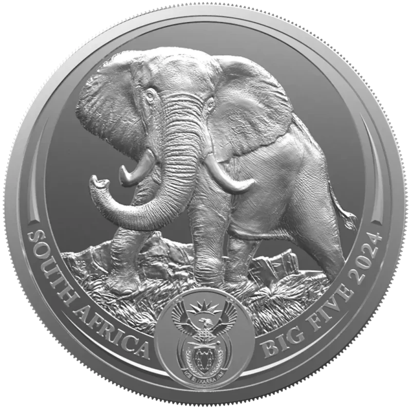 South Africa Silver Coin Elephant 2024 1 oz Collectible coins
