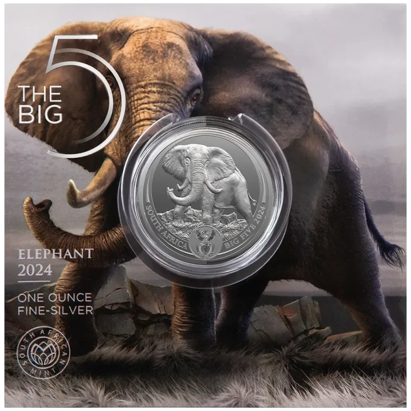 Zuid-Afrika zilveren munt Olifant 2024 1 ounce Verzamelmunten