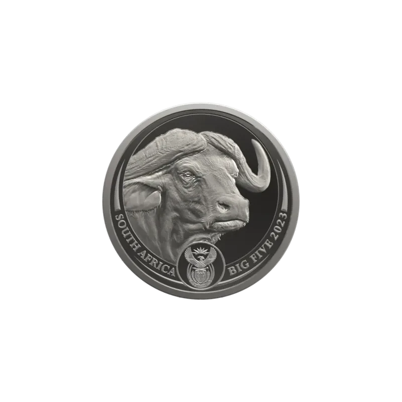 Afrique du Sud Pièce de monnaie en platine Buffalo 2023 Belle Épreuve 1 once Pièces de collection