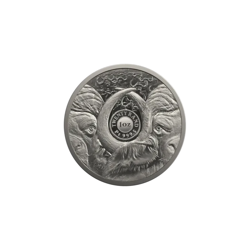 Afrique du Sud Pièce de monnaie en platine Buffalo 2023 Belle Épreuve 1 once Pièces de collection