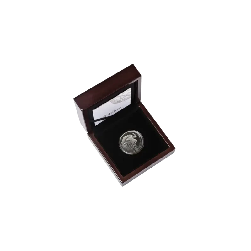 Afrique du Sud Pièce de monnaie en platine Buffalo 2023 Belle Épreuve 1 once Pièces de collection