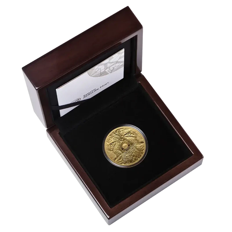 Südafrika Goldmünze Big Five III Leopard 2026 polierte Platte 1 oz Sammlermünzen