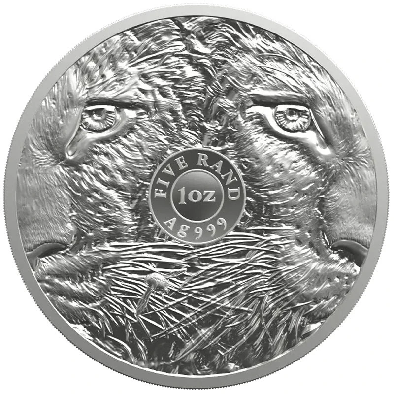 Afrique du Sud Pièce en argent Léopard 2026 1 once Pièces de collection