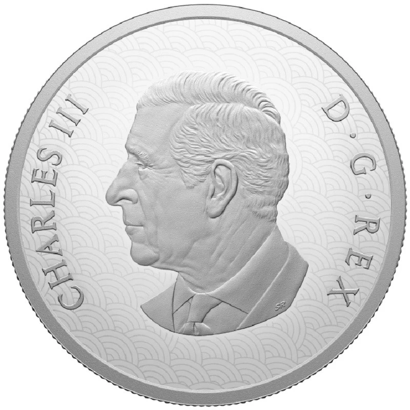 Kanada Silbermünze Jahr der Schlange 2025 polierte Platte 1 oz Sammlermünzen